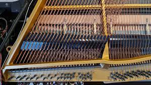 Das SHOP des Ellenberger.institute