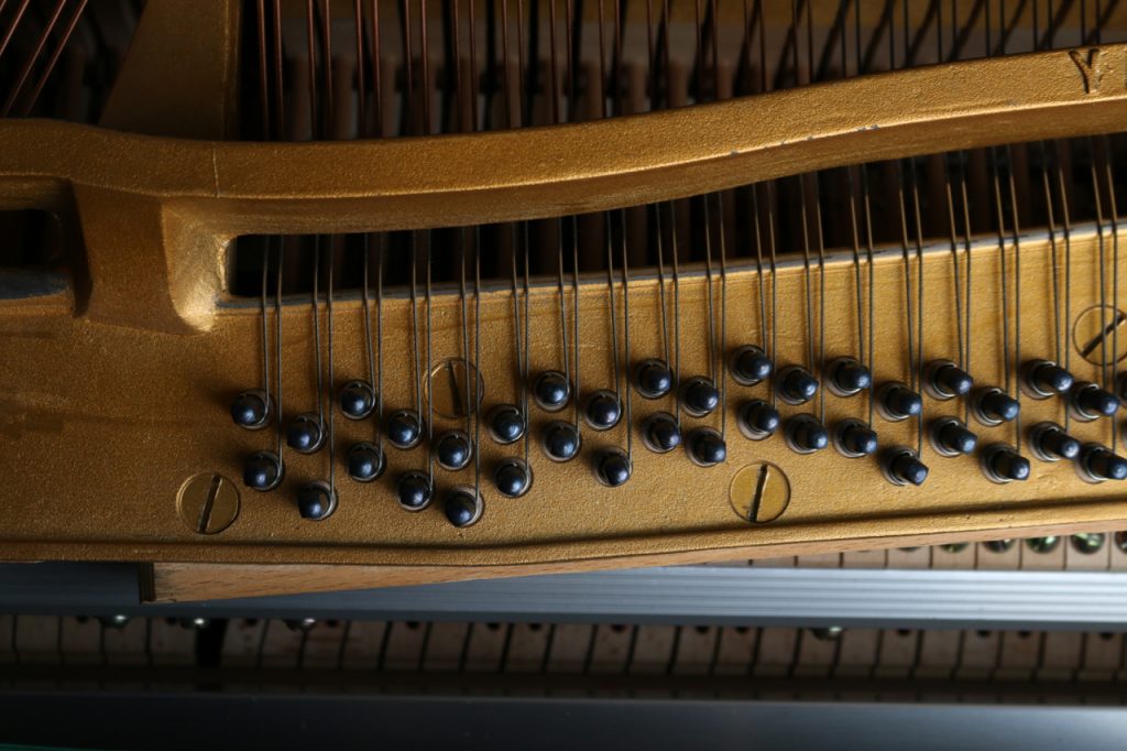 Das SHOP des Ellenberger.institute