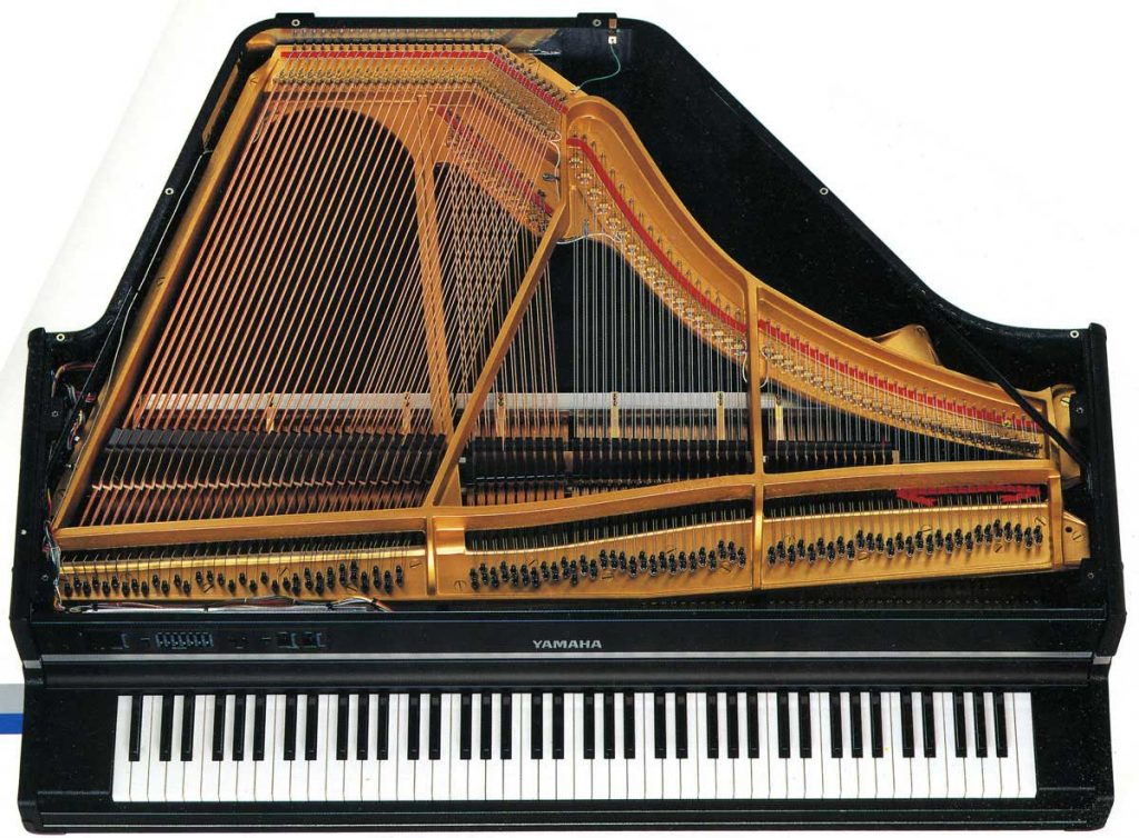 Das SHOP des Ellenberger.institute