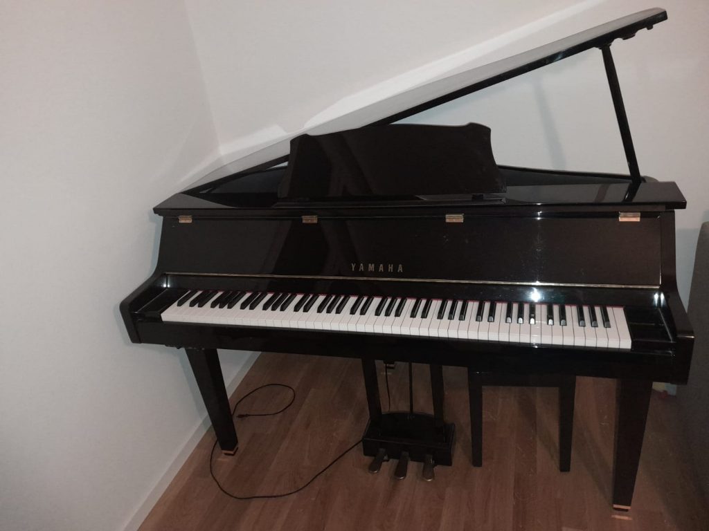 Das SHOP des Ellenberger.institute