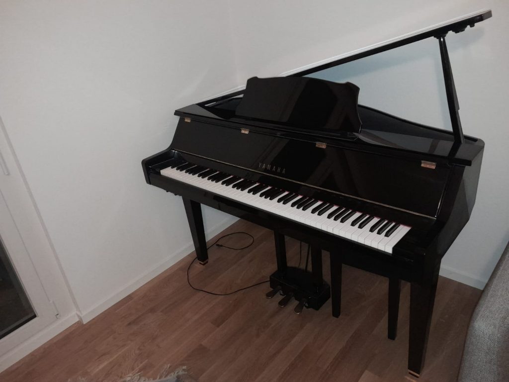 Das SHOP des Ellenberger.institute