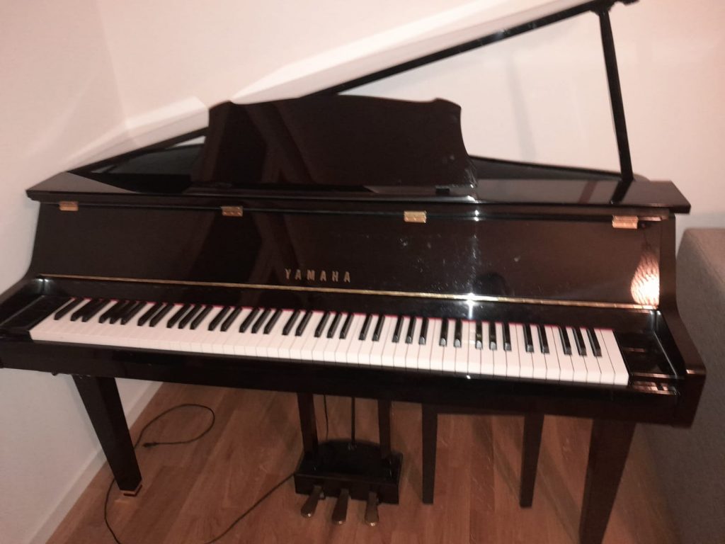 Das SHOP des Ellenberger.institute