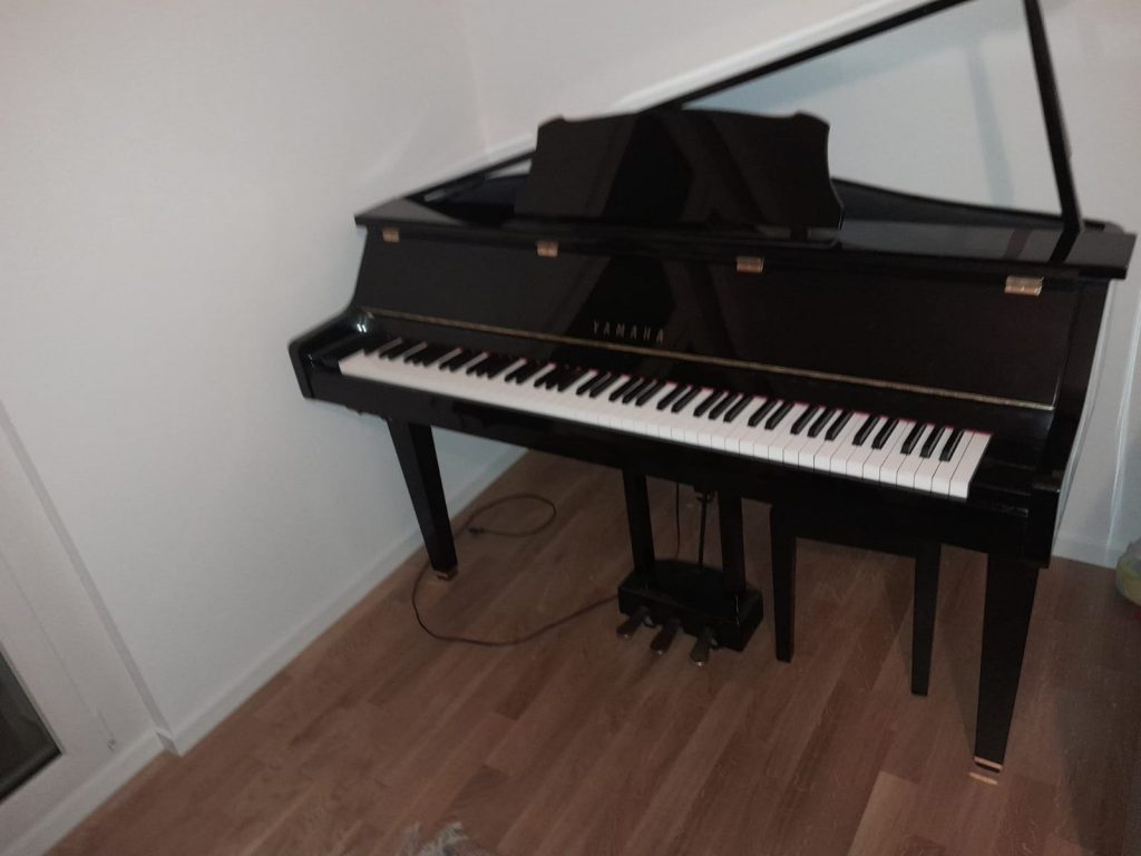 Das SHOP des Ellenberger.institute