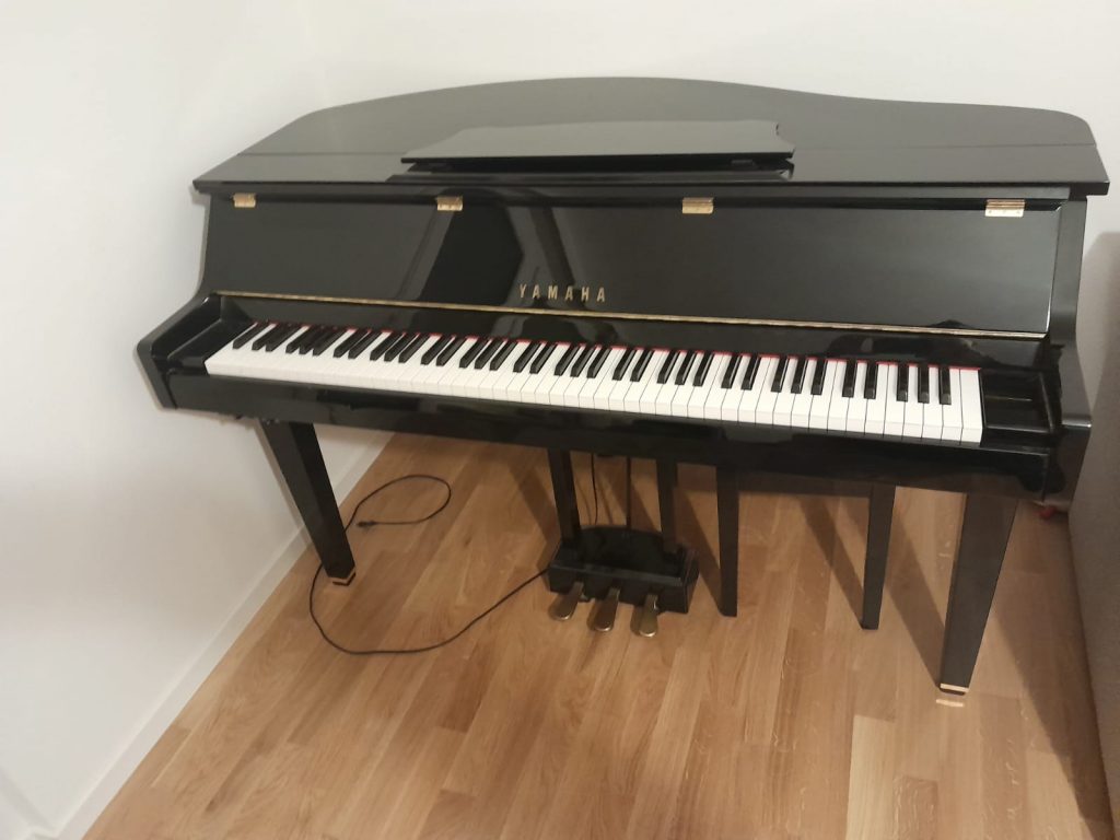 Das SHOP des Ellenberger.institute