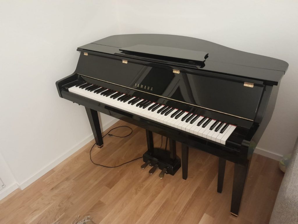 Das SHOP des Ellenberger.institute