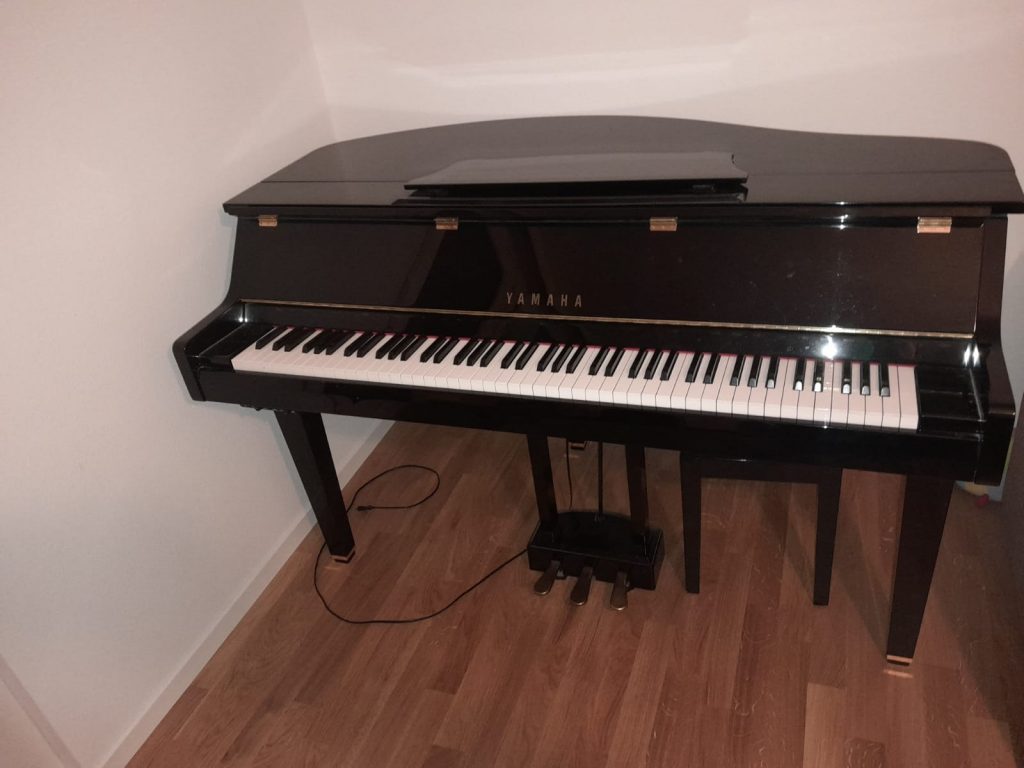 Das SHOP des Ellenberger.institute