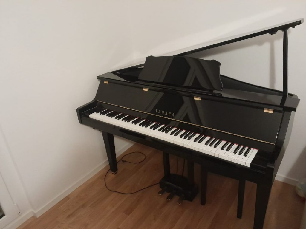 Das SHOP des Ellenberger.institute