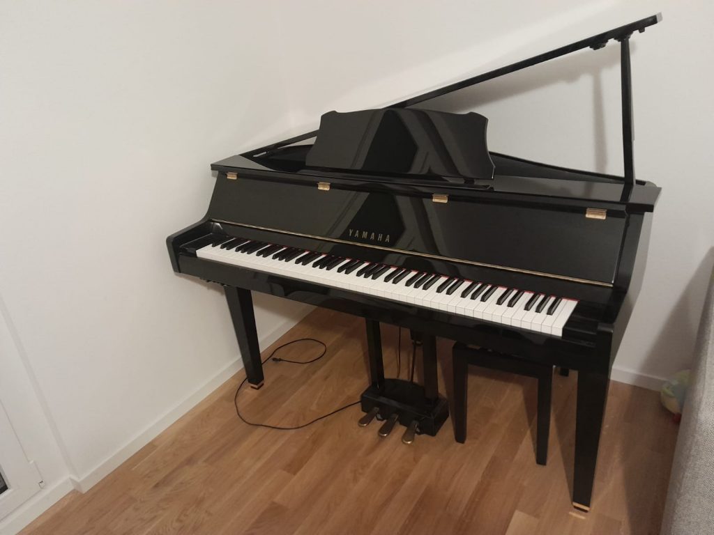 Das SHOP des Ellenberger.institute