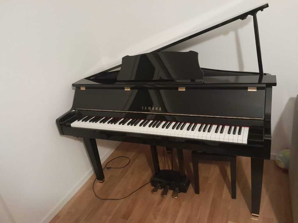 Das SHOP des Ellenberger.institute