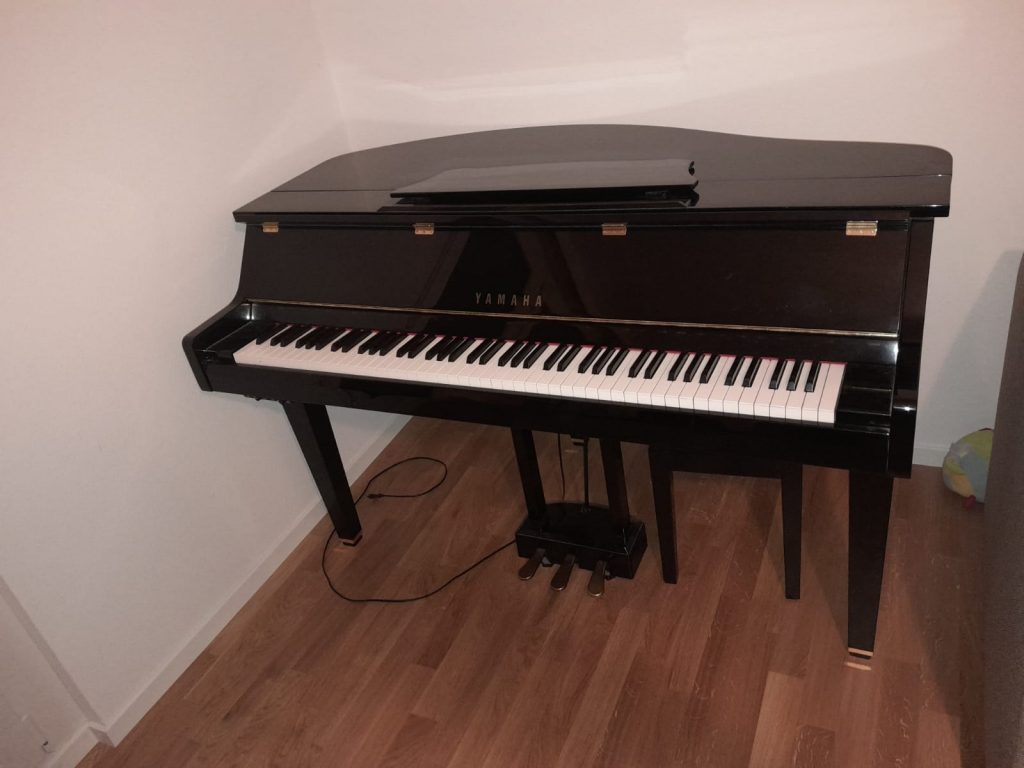 Das SHOP des Ellenberger.institute