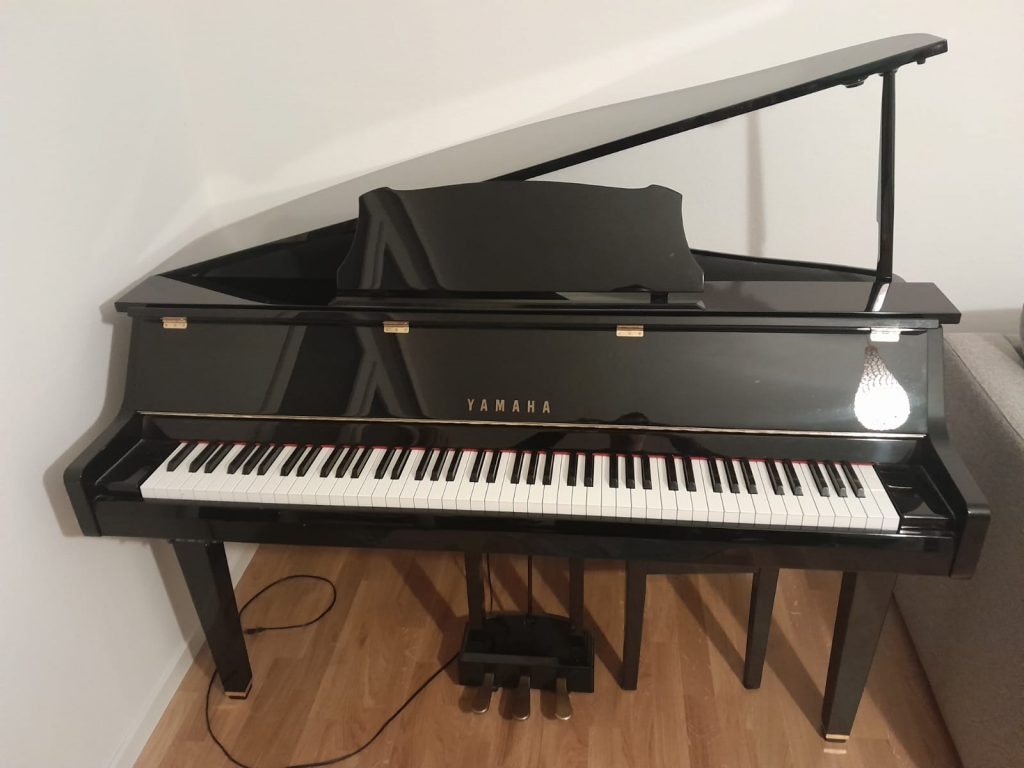 Das SHOP des Ellenberger.institute