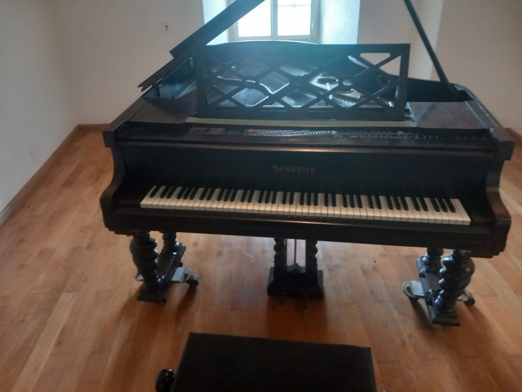 Das SHOP des Ellenberger.institute