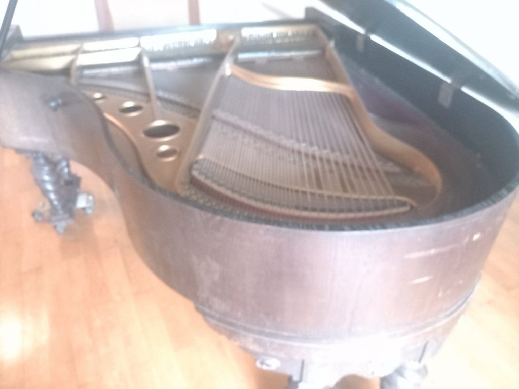 Das SHOP des Ellenberger.institute