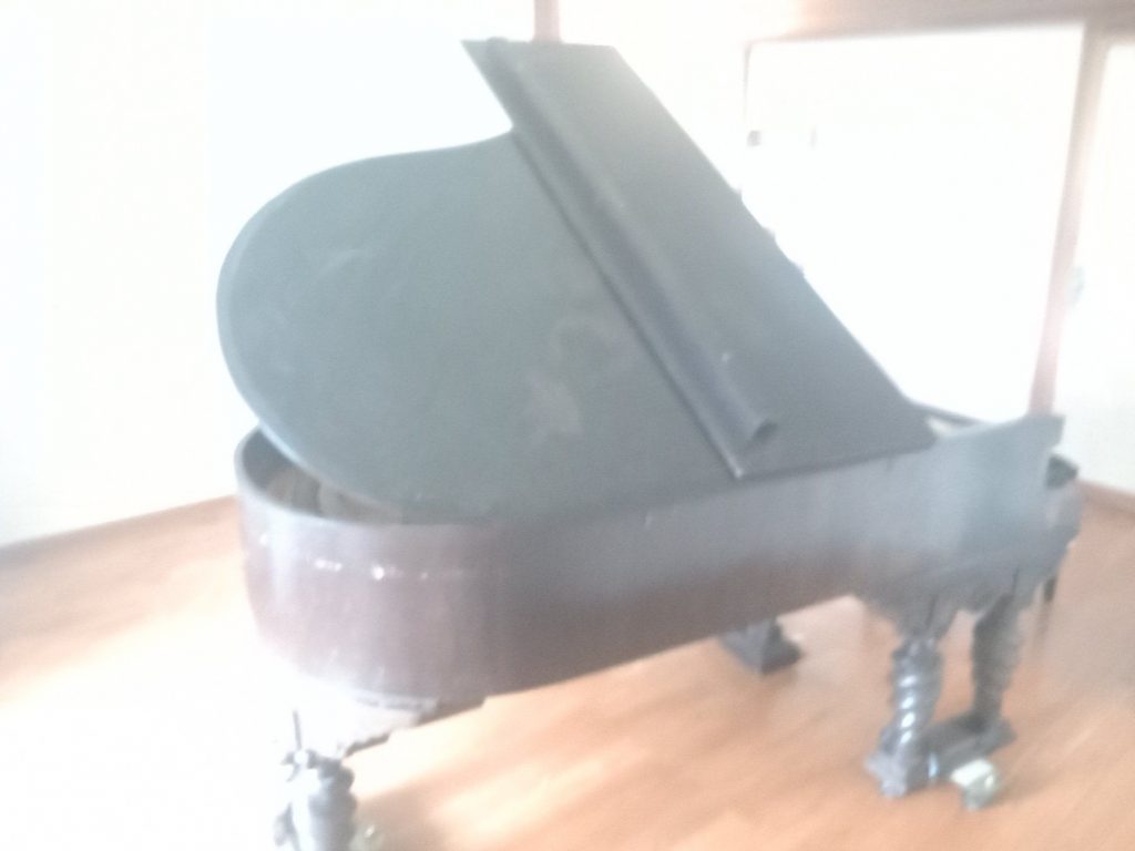 Das SHOP des Ellenberger.institute