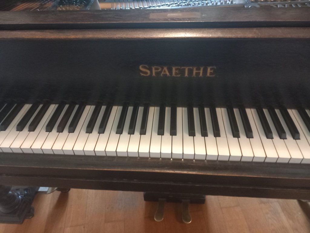 Das SHOP des Ellenberger.institute