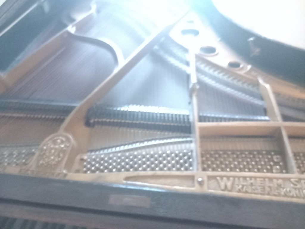 Das SHOP des Ellenberger.institute