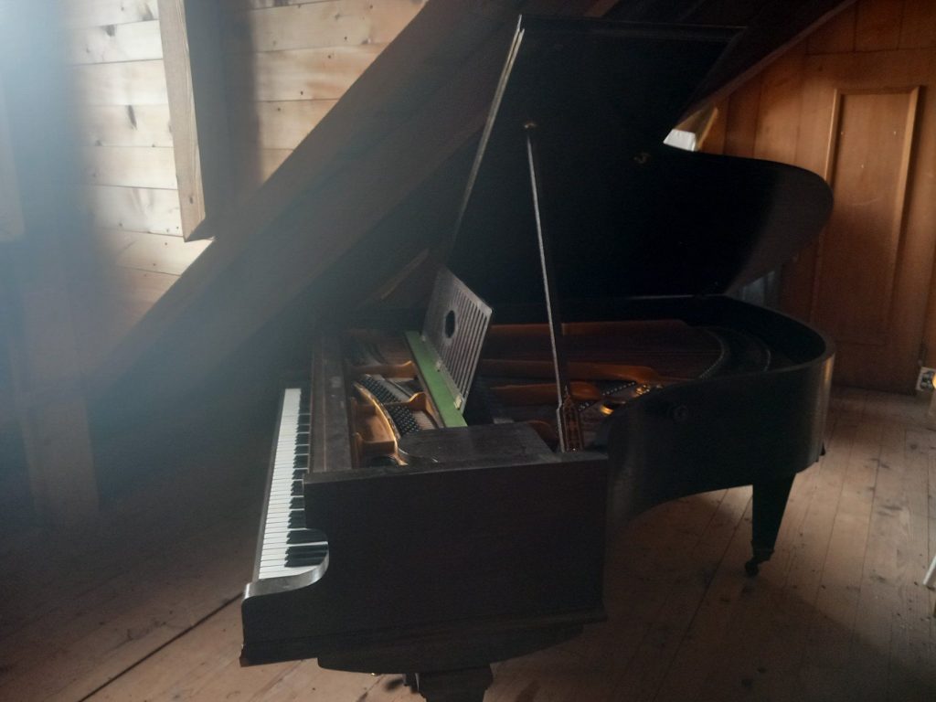 Das SHOP des Ellenberger.institute