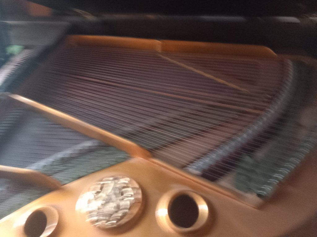 Das SHOP des Ellenberger.institute