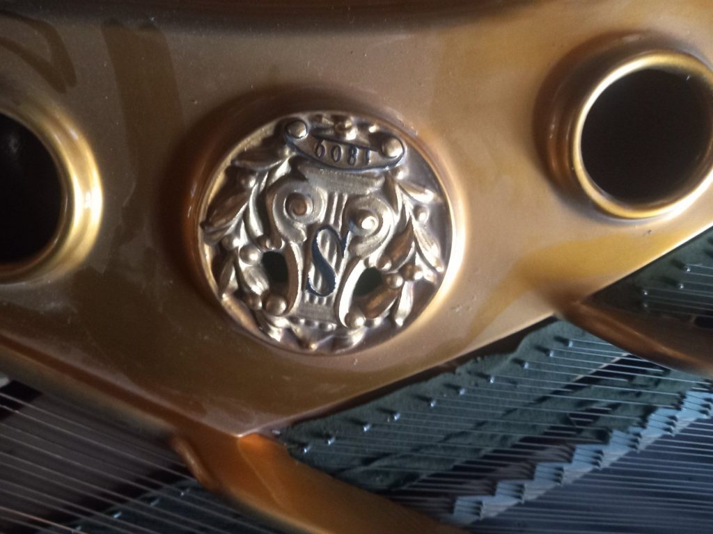 Das SHOP des Ellenberger.institute