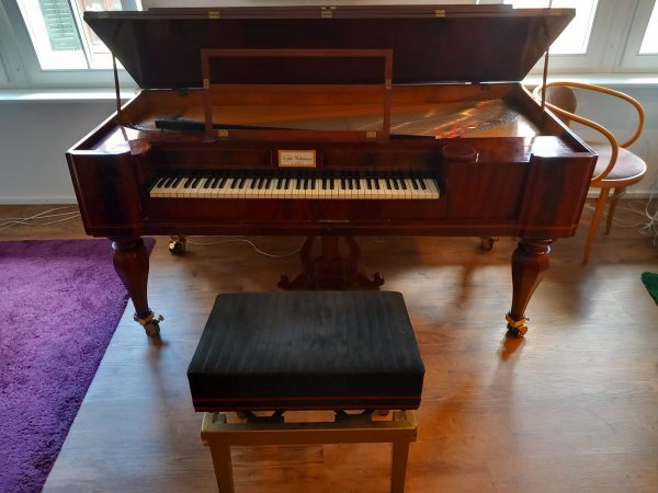 Rarität: Tafelklavier von Ernst Philipp Rosenkranz Baujahr 1825 – Bild 16