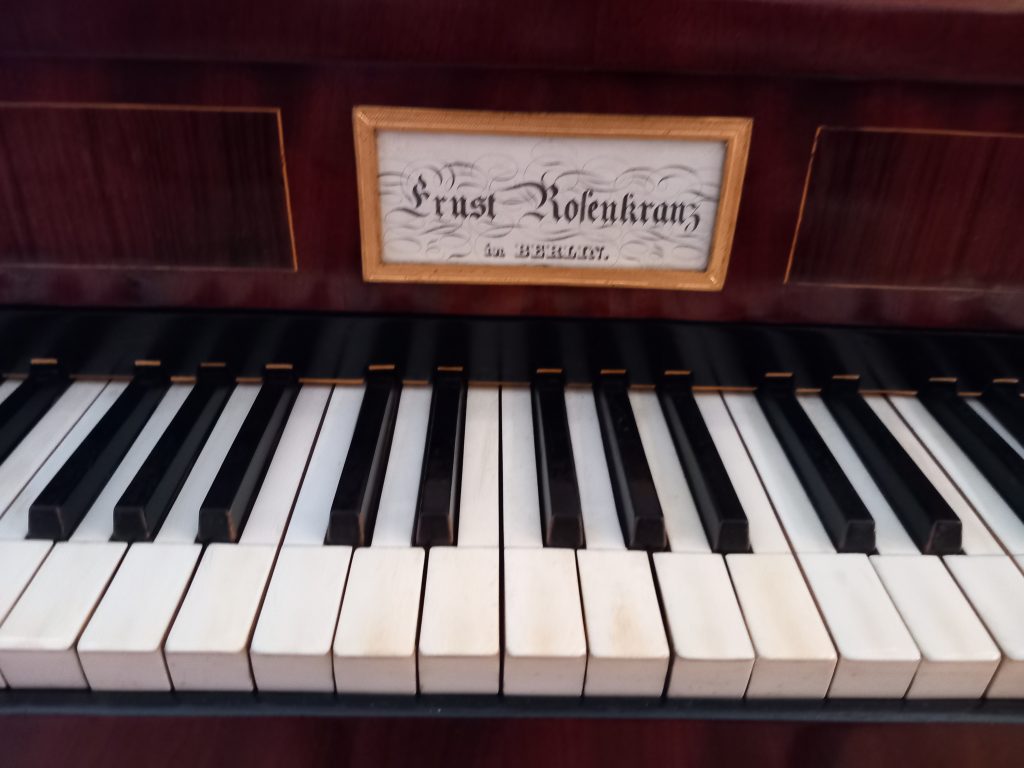 Das SHOP des Ellenberger.institute