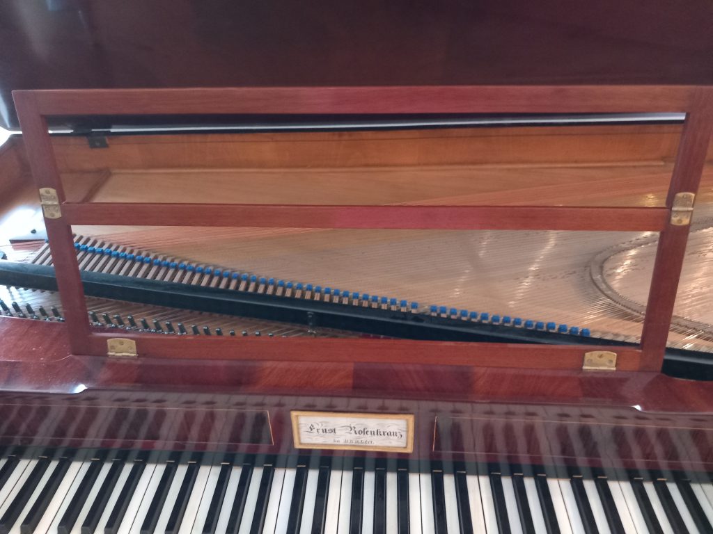 Das SHOP des Ellenberger.institute