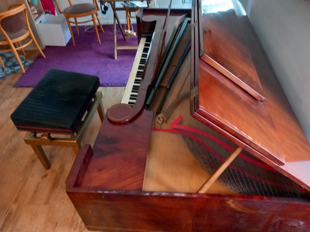 Das SHOP des Ellenberger.institute